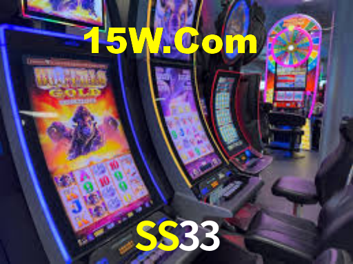 SS33
