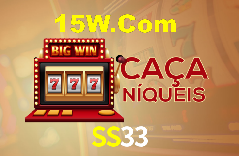 SS33